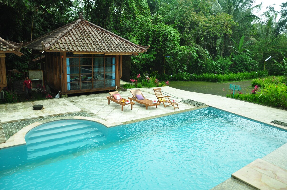 A refreshing swimming pool is surrounded by abundant greenery, featuring a shallow entry area. Nearby, wooden lounge chairs are positioned on the deck, facing the tranquil waters. A traditional wooden structure stands adjacent, with large windows providing views of the lush surroundings.