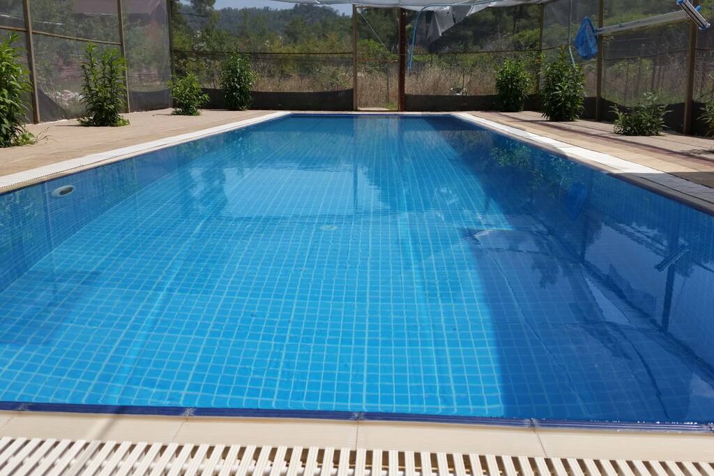 open air swimming pool big enough, clean and just for you, 24 hours swimm facility