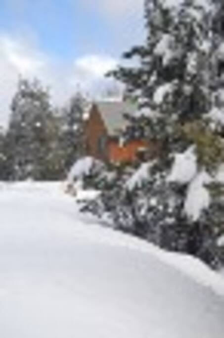 View of Barn.