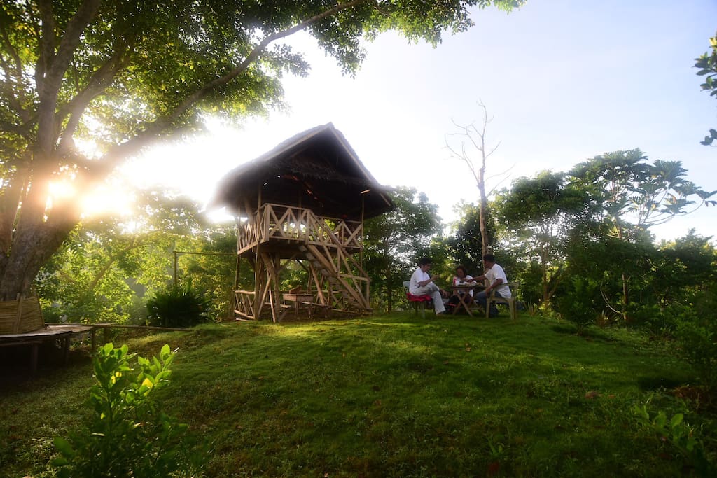 This house on stilts is where our soon to be guests are gonna 'camp out'. No disturbance, just you and nature.