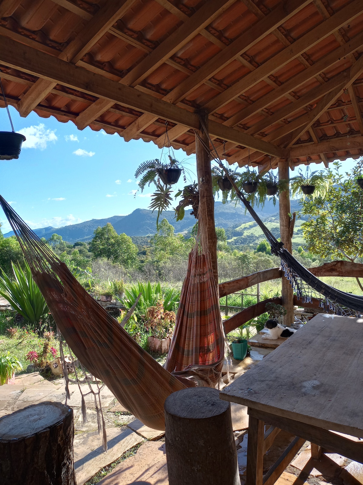 A covered outdoor space is presented with hanging hammocks, inviting relaxation. A wooden table is situated at the center, surrounded by lush greenery and flowers. Scenic mountain views are framed by the open structure, enhancing the connection to nature.