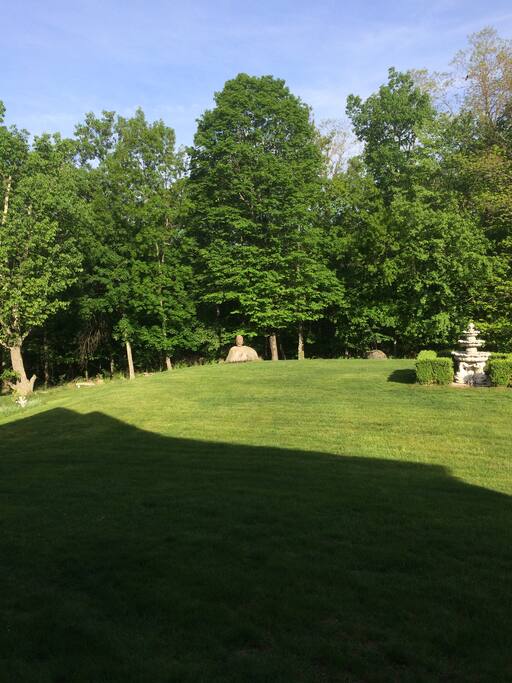 Front Yard