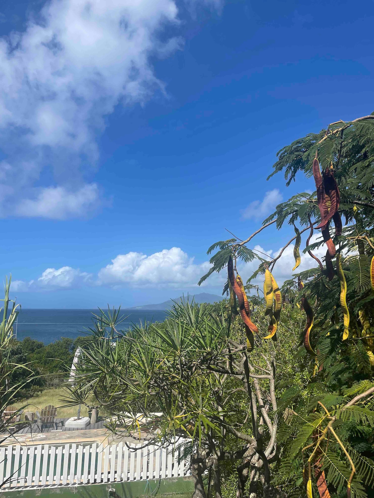 A scenic view features lush greenery in the foreground, complemented by colorful seed pods hanging from a tree. Beyond, the Caribbean Sea is visible under a bright blue sky, dotted with clouds. The tranquility of the landscape suggests a peaceful environment.