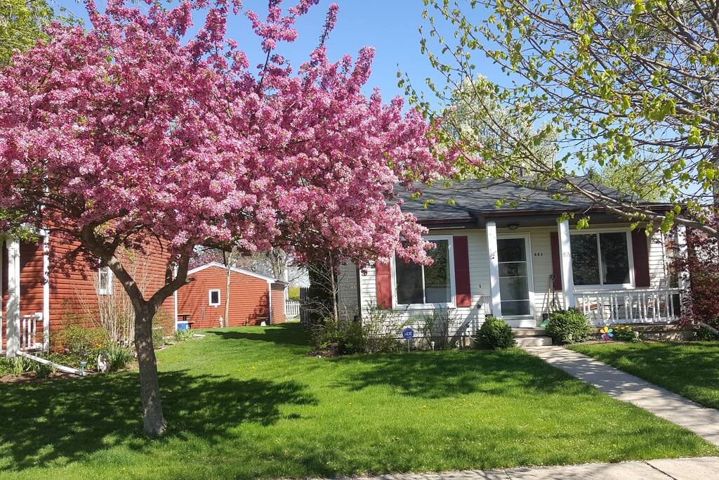 Front of our home.