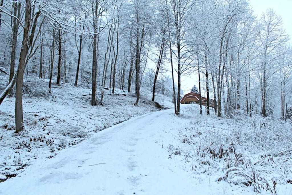 WINTER