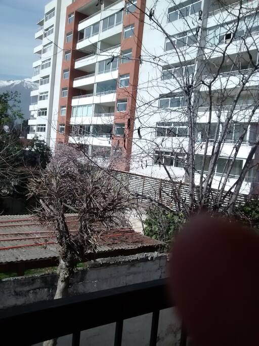 Paronamica del entorno
