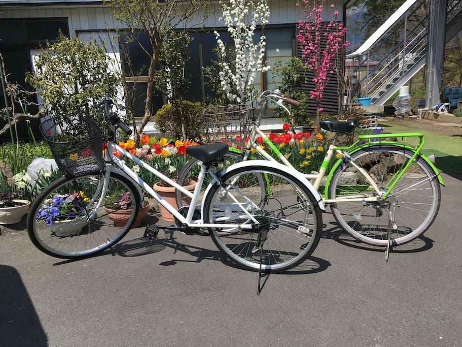 rental bicycle