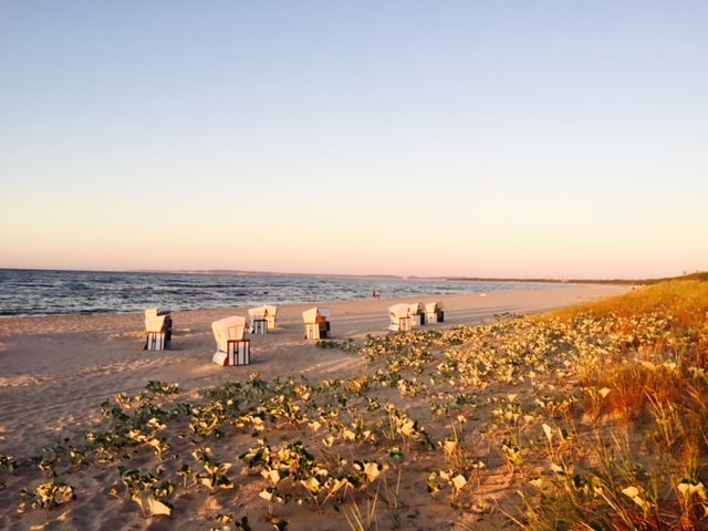 A serene beach scene at sunset showcases rows of white chairs arranged on the sand, surrounded by a natural landscape of gentle waves and grassy dunes. The soft hues of twilight reflect on the water, creating a tranquil atmosphere.