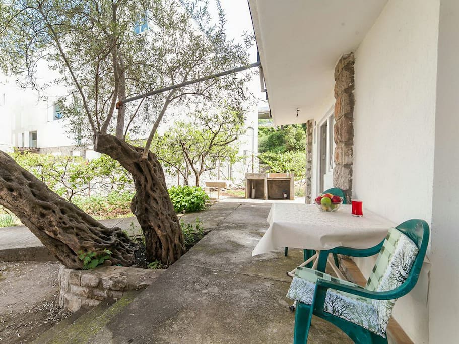 Guests can spend hot summer days on a terrace overlooking the garden.