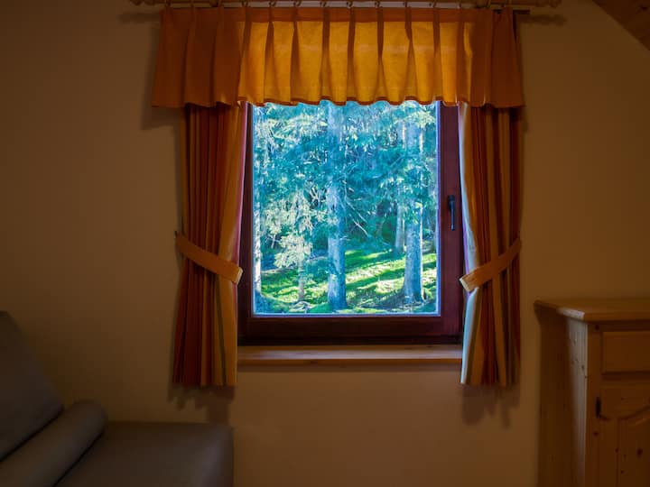 Разбудете се со овој поглед на чистата природа.