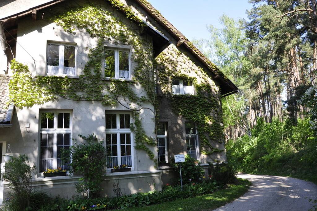 Hausansicht Waldseite