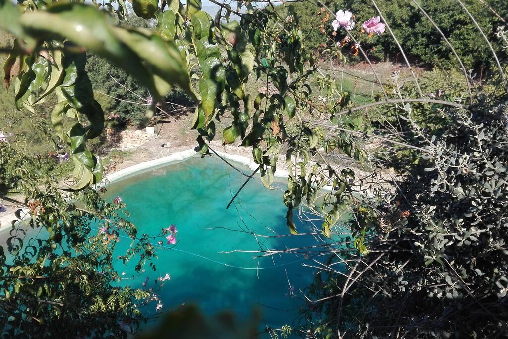 Entorno del lago