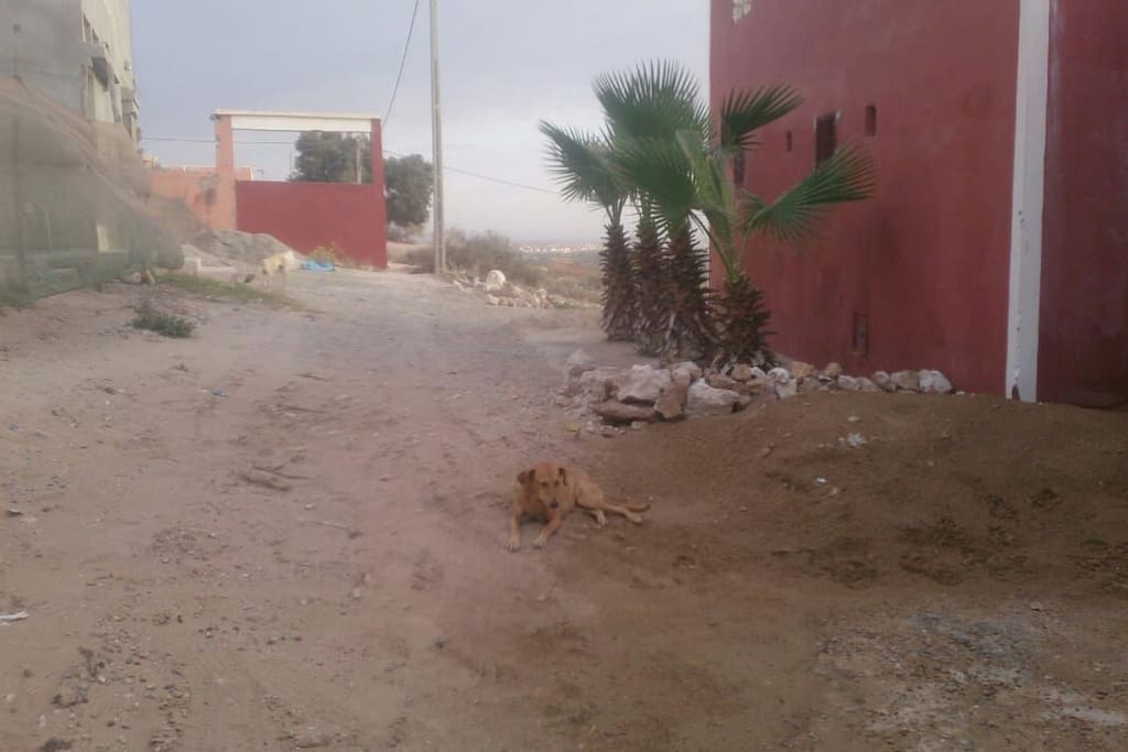L'arrivée devant la maison d'Hassan
