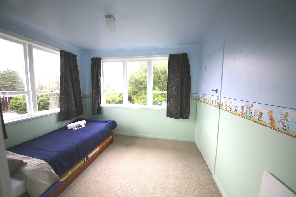Single room with a pull out bed