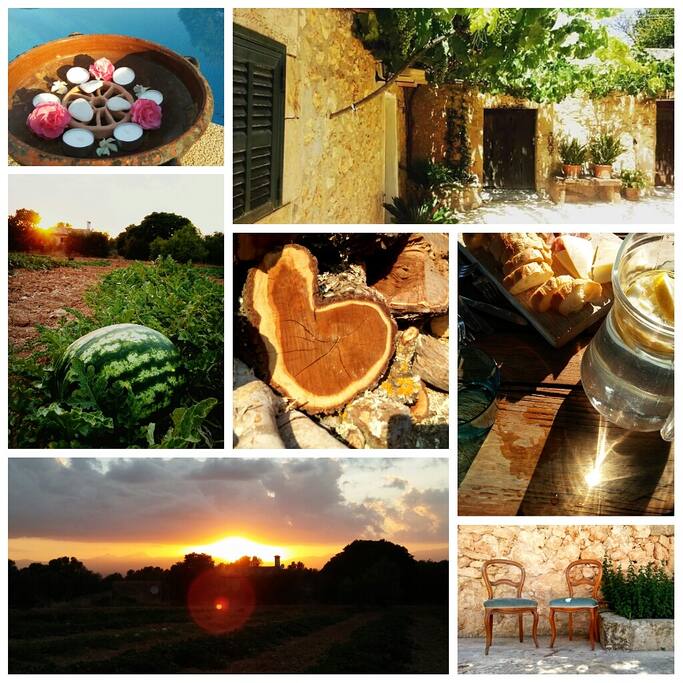 Welcome to our home in the green heart of Mallorca!