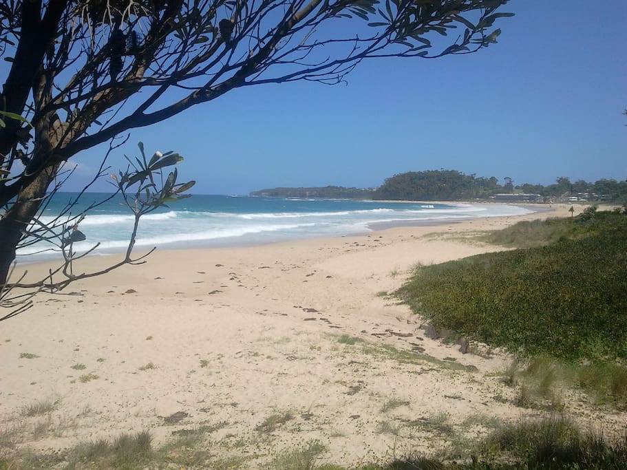 Mollymook Beach - 5-star surf beach & golf club