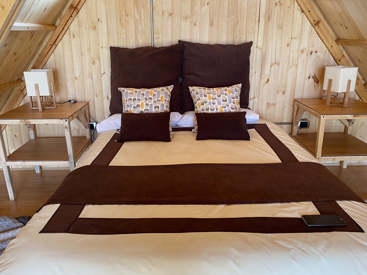 A spacious bed is presented with a brown and beige bedding set. Two decorative pillows add visual interest. Nightstands are positioned on either side, each featuring a lamp. Warm wooden walls create a cozy atmosphere within the room.