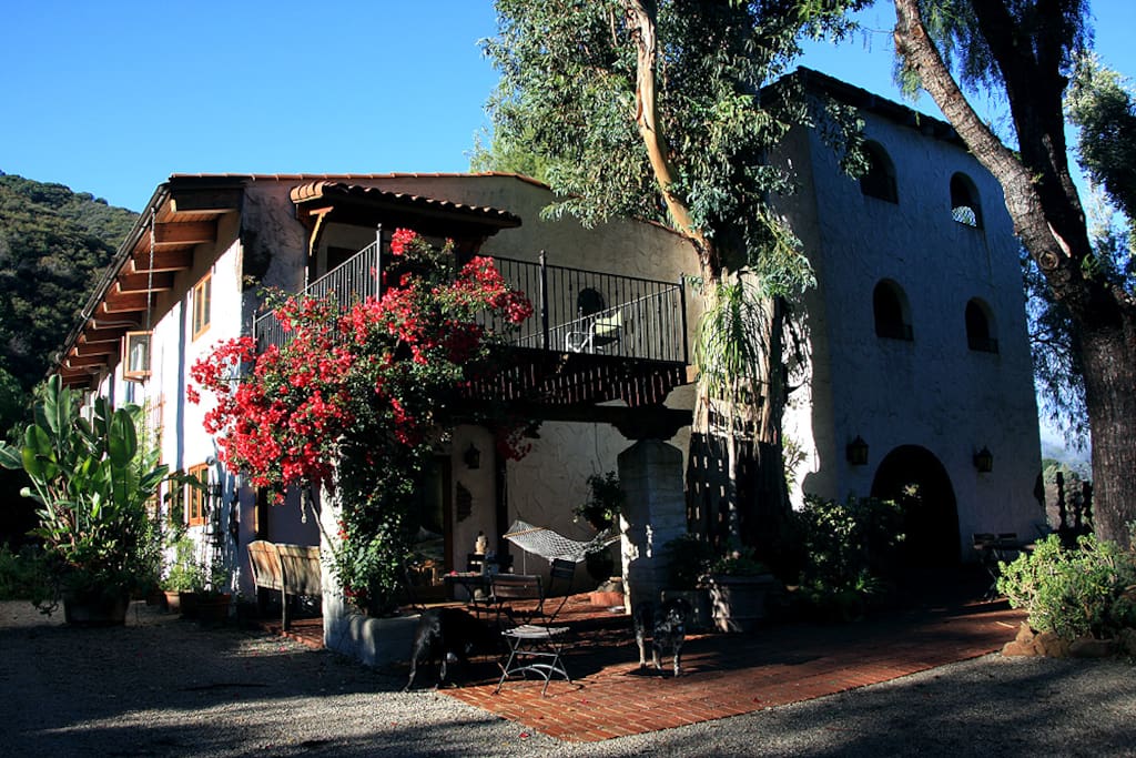 The Ranch house! You room is a private room with its own entrance at the back of this home where myself, my husband and my daughter live with 5 dogs!