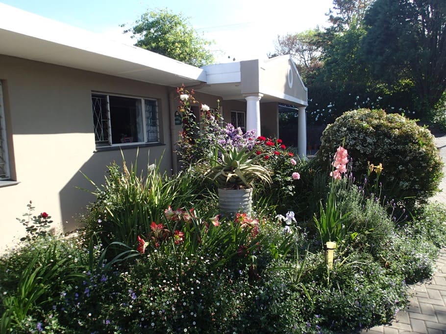 Garden area in front of the house.