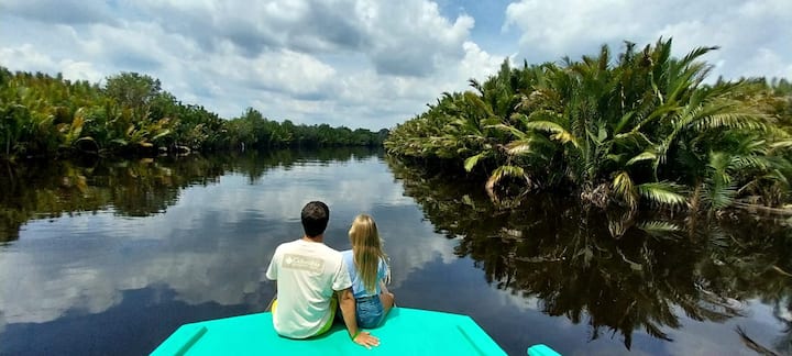 Orangutan Tour And Trip - Central Kalimantan