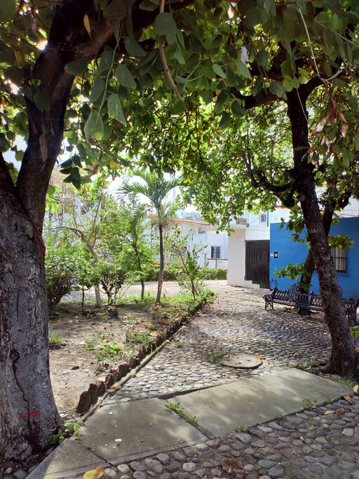 Este es el pequeño parque que se encuentra frente al estacionamiento y da para la casa.