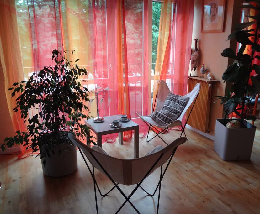 Espace lecture, café