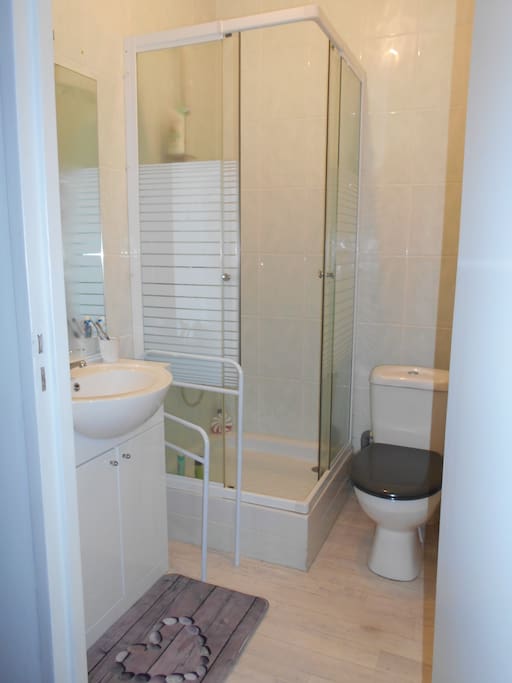 Salle d'eau et WC (serviettes et produits de base fournis)