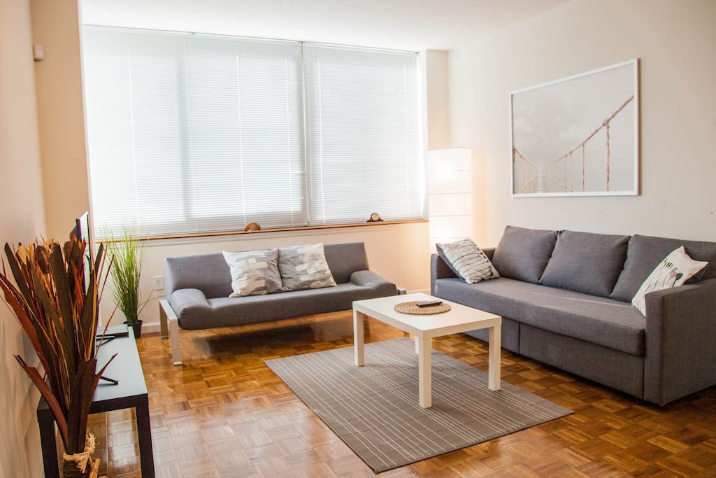 Living room with two sleeper sofas