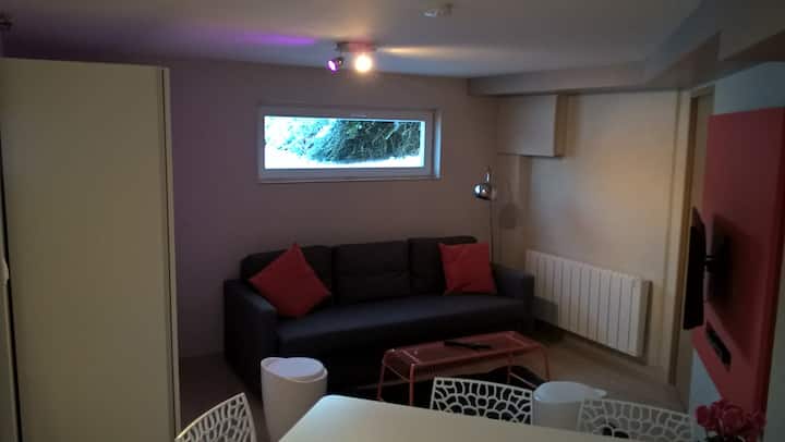 Appartement Au Vert Proche De Colmar Et Turckheim - Orbey