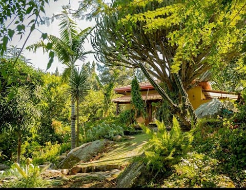 Pazzuri Residence | Main house | Garden oasis