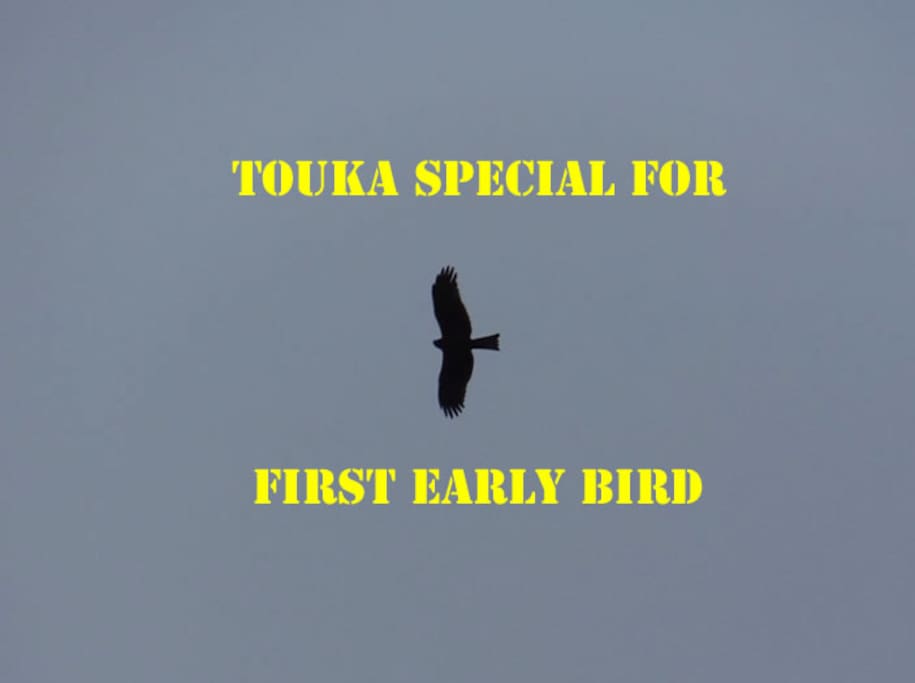 Special Offer