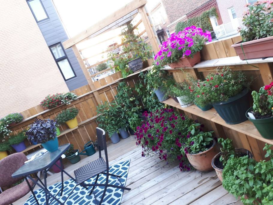 Une grande terrasse fleurie, ensoleillée presque toute la journée