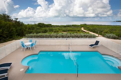 Palm Breezes! Room for Everyone on the Ocean.