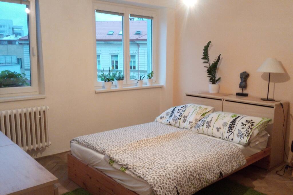 A quiet bedroom (inner courtyard of street)