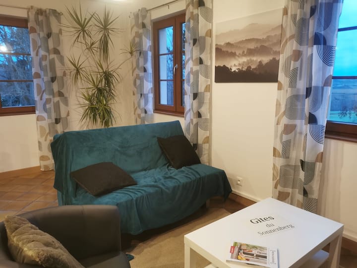 Gîte Le Cabri Entre Vignoble Et Forêt - Marlenheim