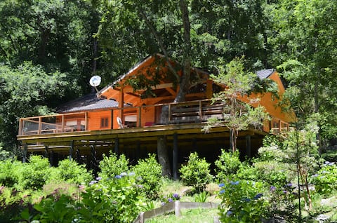 Caburgua Lake - 14 people Arrayanes