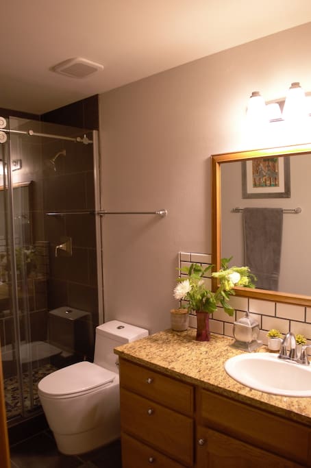 Guest Bath with Shower