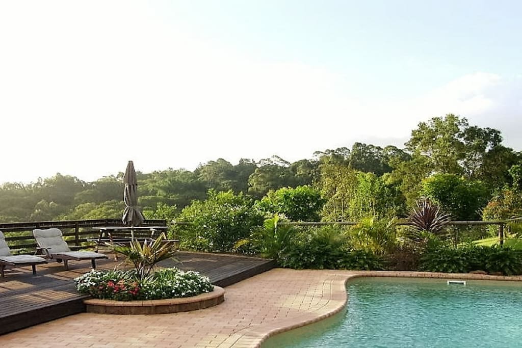 Resort Style Pool
