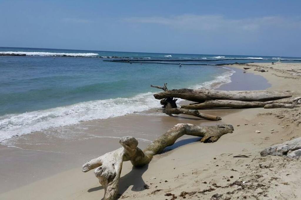 Der unberührte Naturstrand nur 70 Meter gegenüber