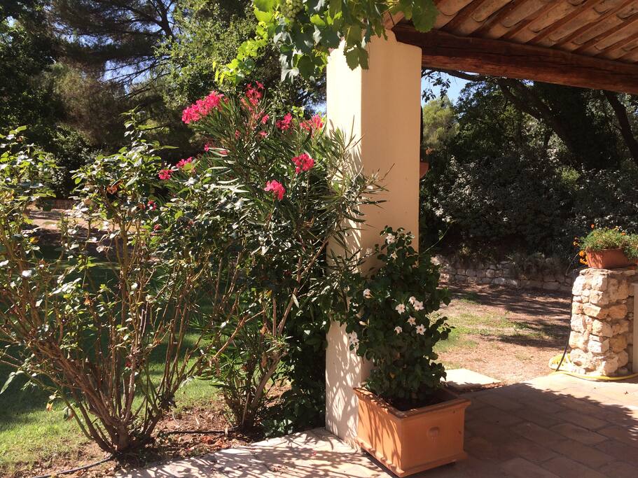 terrasse