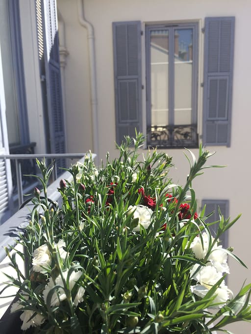Balcony view day time!