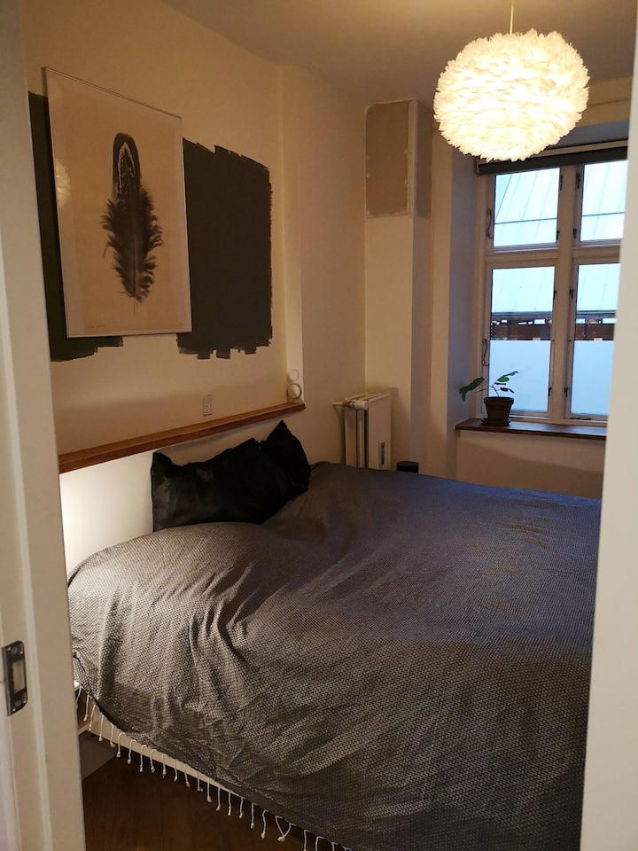 אולי סיימנו לצבוע, כששוכרים את הדירה 