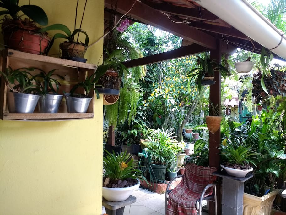 Jardim Área Comum