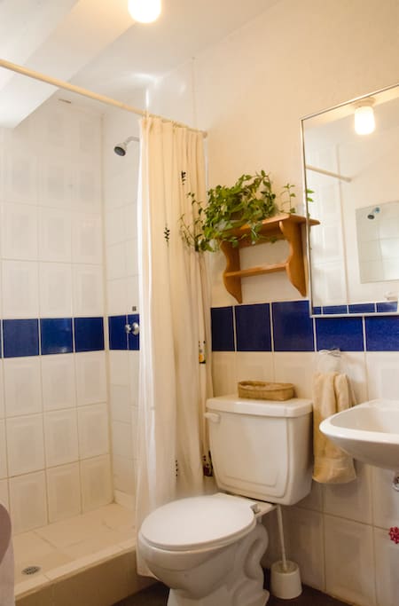 Baño compartido/ shared bathroom/ Geteiltes Badezimmer