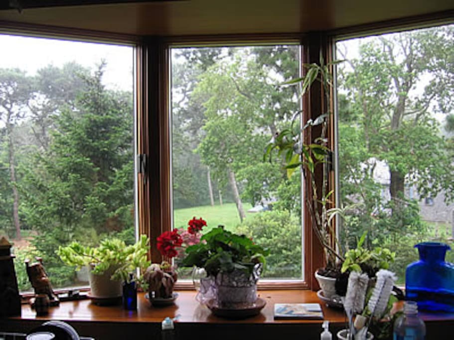 bay window overlooks garden, lawns and wetlands