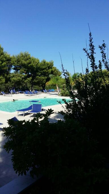 Swimming pool for adult