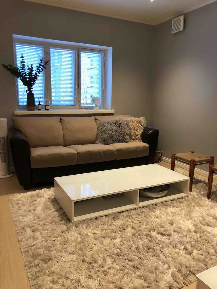 Lovely 1-bedroom Studio In Centrum Of Lappeenranta - Lappeenranta