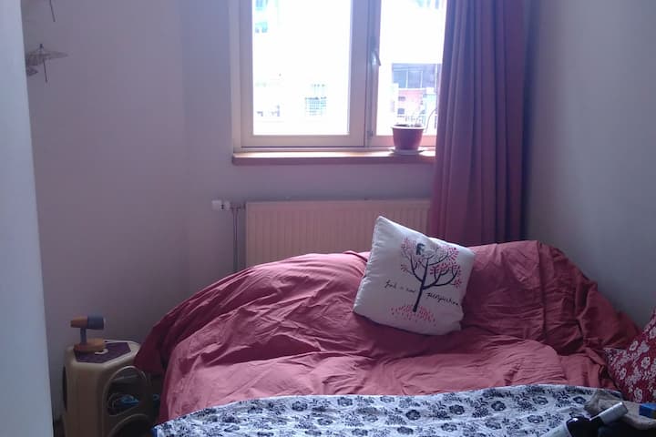 Casa Vrolik, Amsterdam, Oosterparkbuurt BnB 2pp.