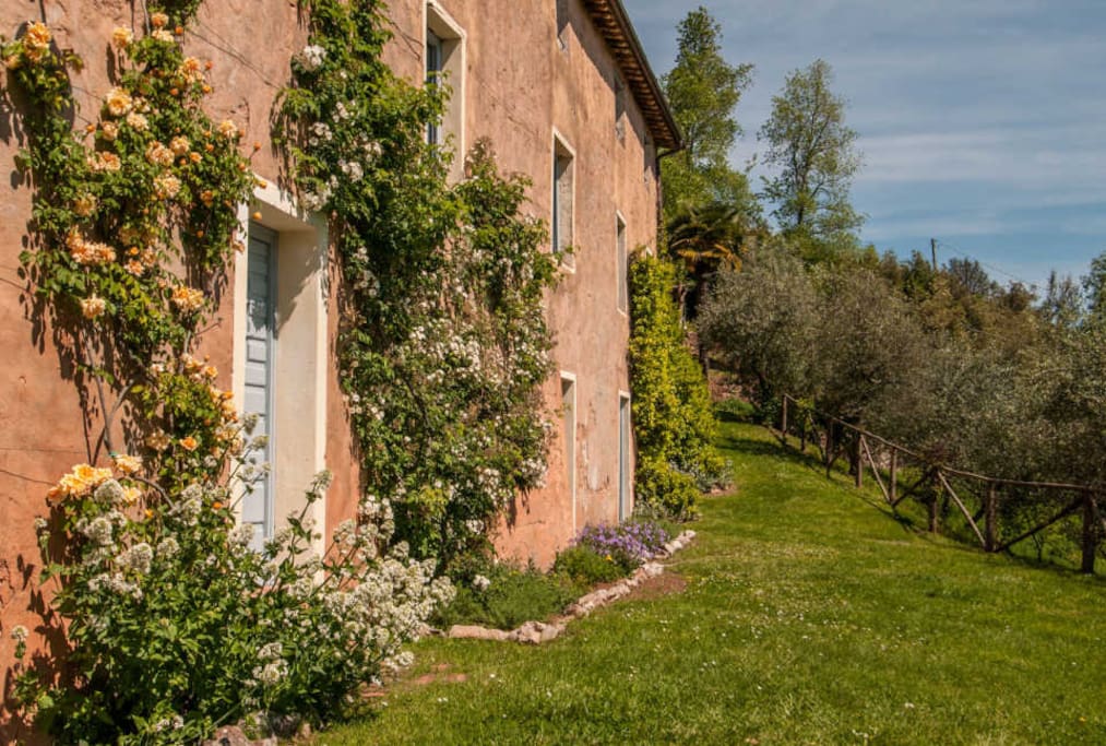 Damiano front of the house