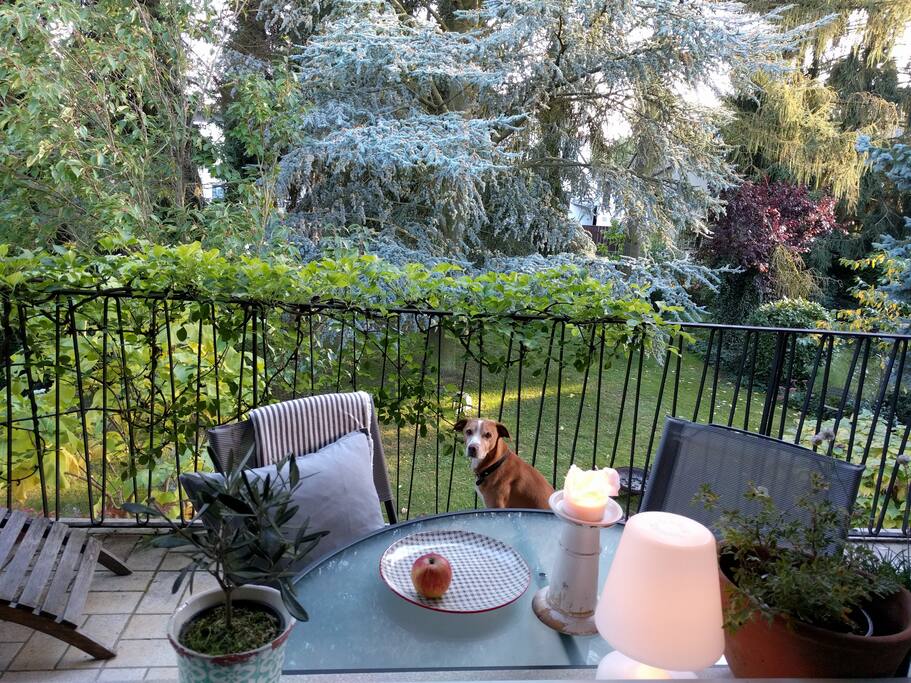 Balkon mit 2 Sitzgelegenheitenen und Liege